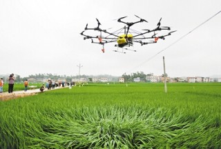 無人機應用領域——農業保險