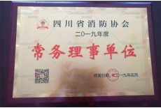 四川省消防協會  常務理事單位