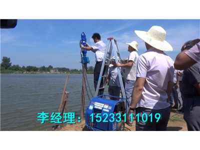 防汛搶險液壓打樁機，智能環保型防汛液壓植樁機