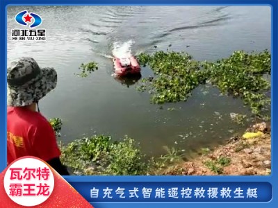 拋投式自充氣型智能救生舟，遙控智能型救生舟